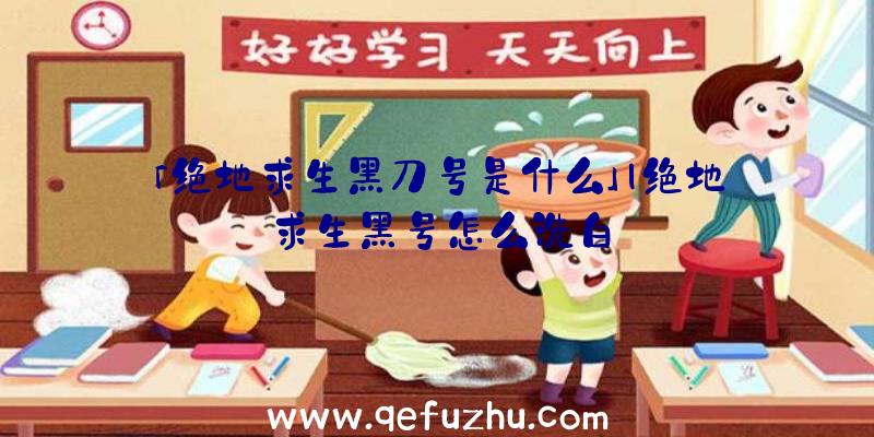「绝地求生黑刀号是什么」|绝地求生黑号怎么洗白